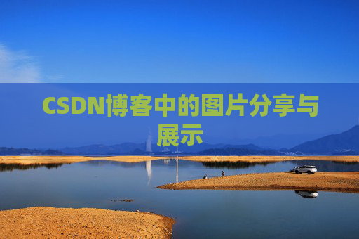 CSDN博客中的图片分享与展示